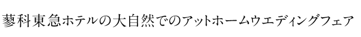 蓼科東急ホテルの大自然でのアットホームウエディングフェア